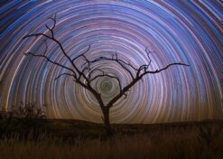 [System Error: name 'traceback' is not defined]