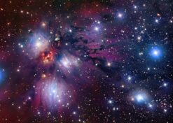 Orion Nebula Starlight